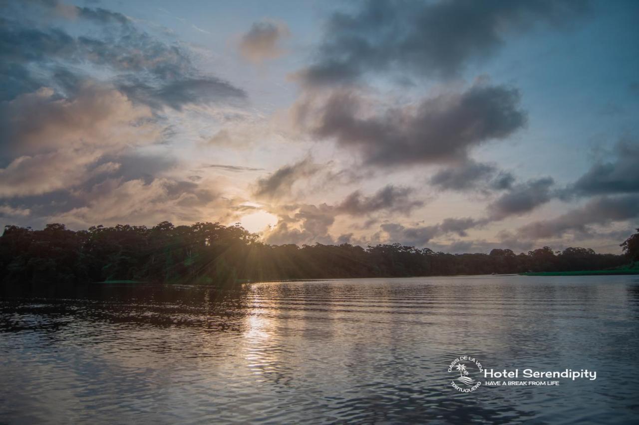 El Deseo Serendipity Tortuguero Zewnętrze zdjęcie