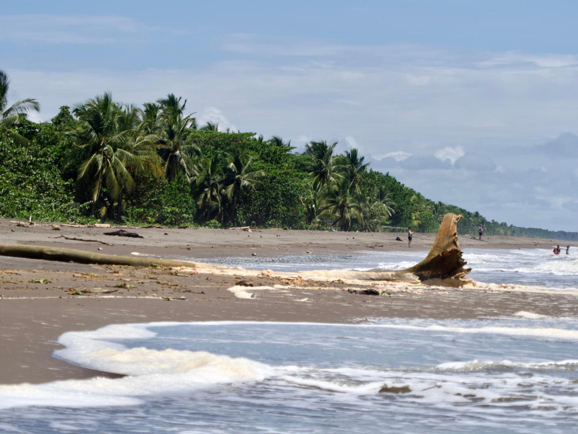 El Deseo Serendipity Tortuguero Zewnętrze zdjęcie