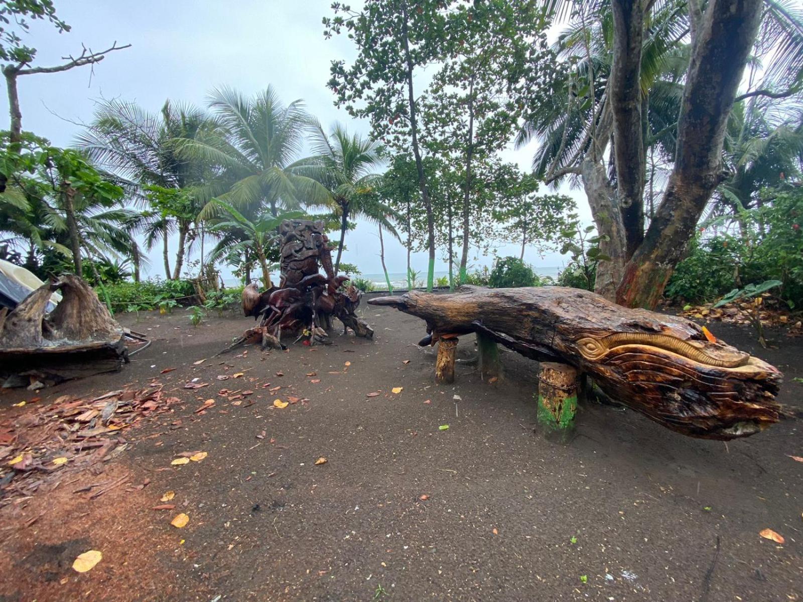 El Deseo Serendipity Tortuguero Zewnętrze zdjęcie
