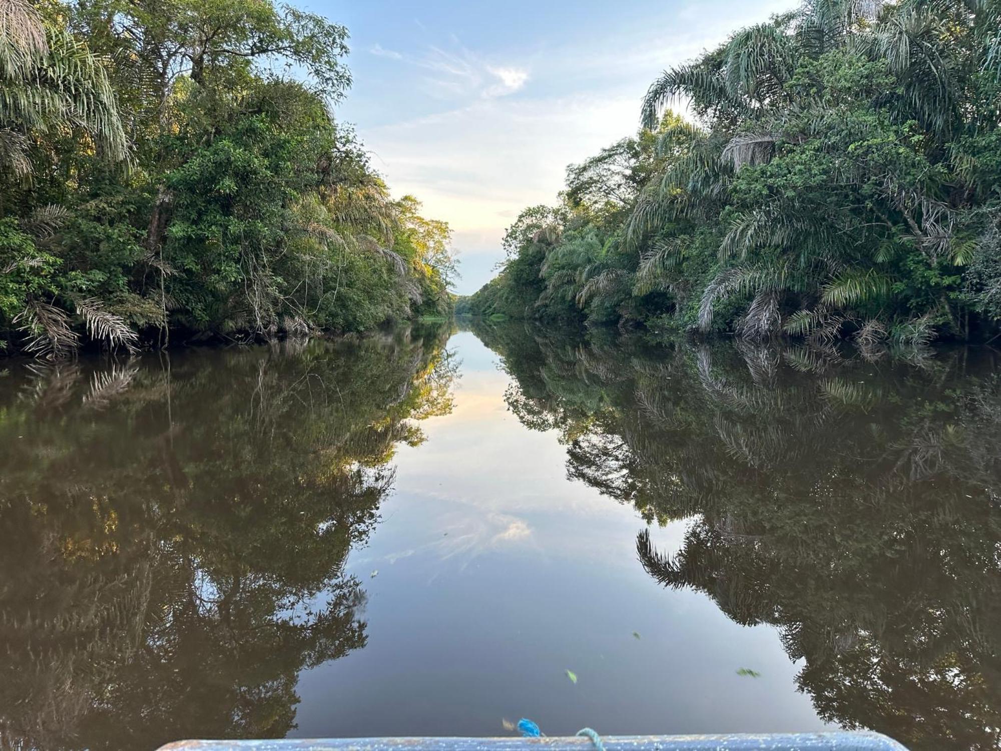 El Deseo Serendipity Tortuguero Zewnętrze zdjęcie
