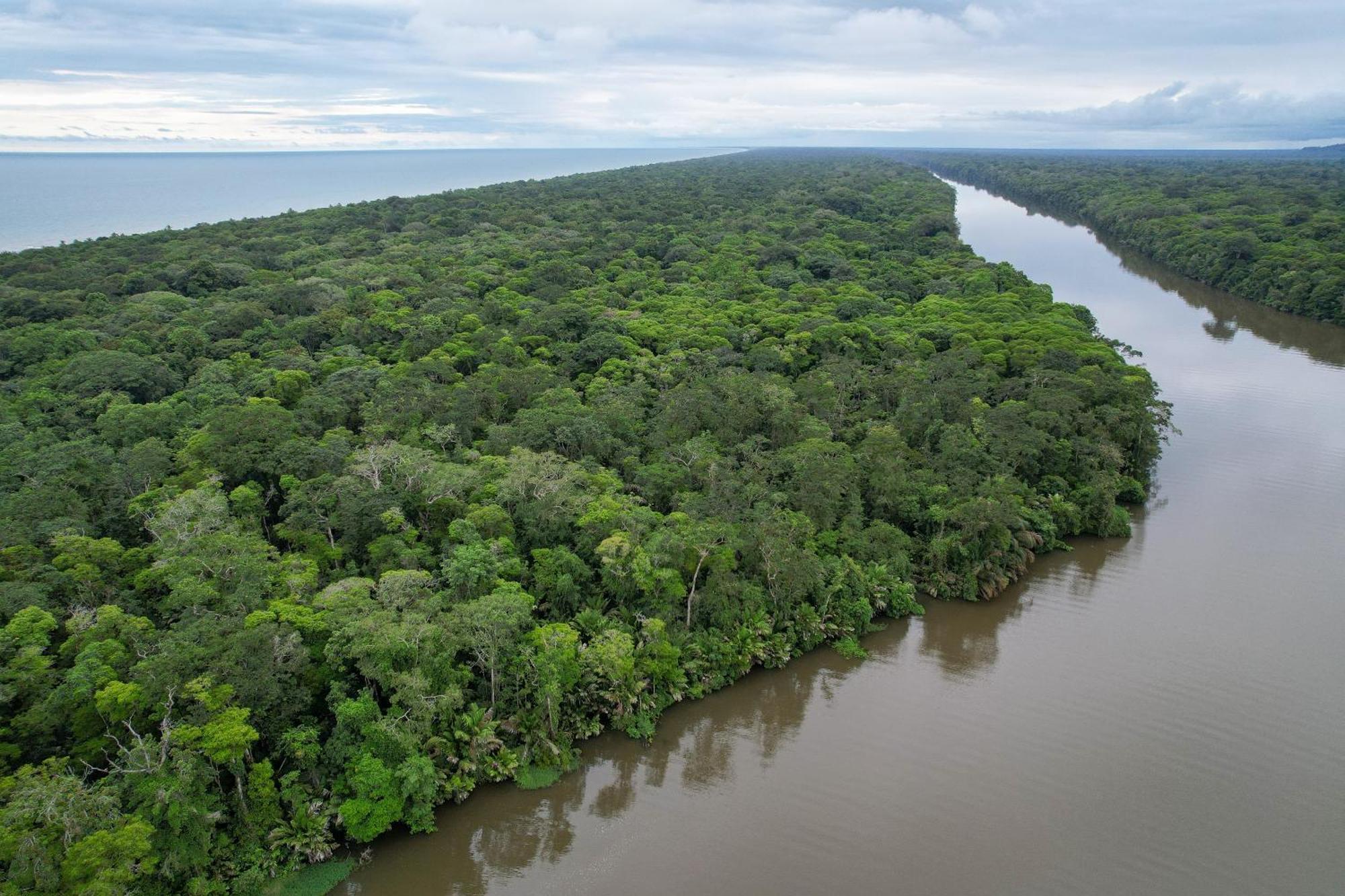 El Deseo Serendipity Tortuguero Zewnętrze zdjęcie