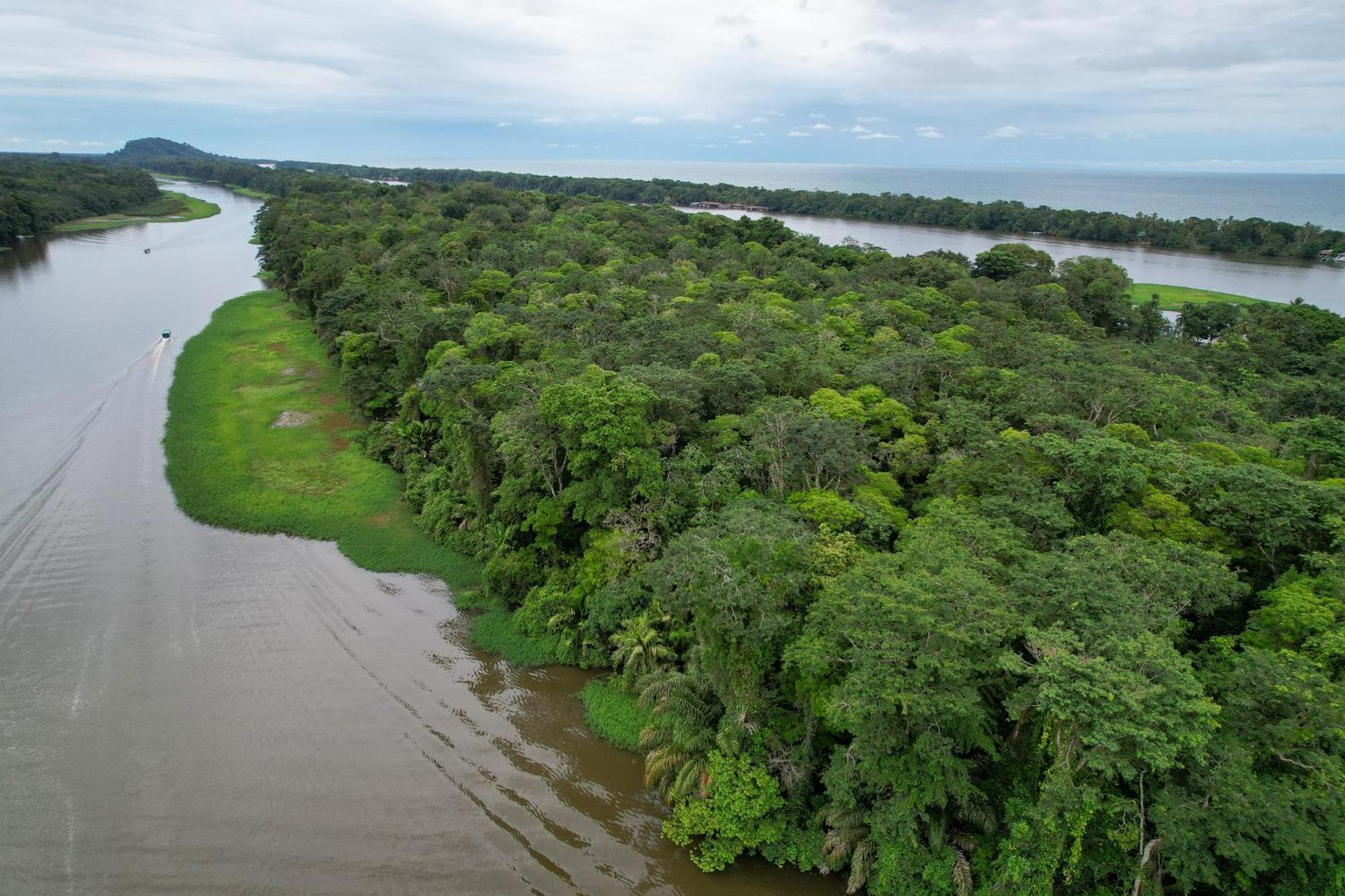 El Deseo Serendipity Tortuguero Zewnętrze zdjęcie