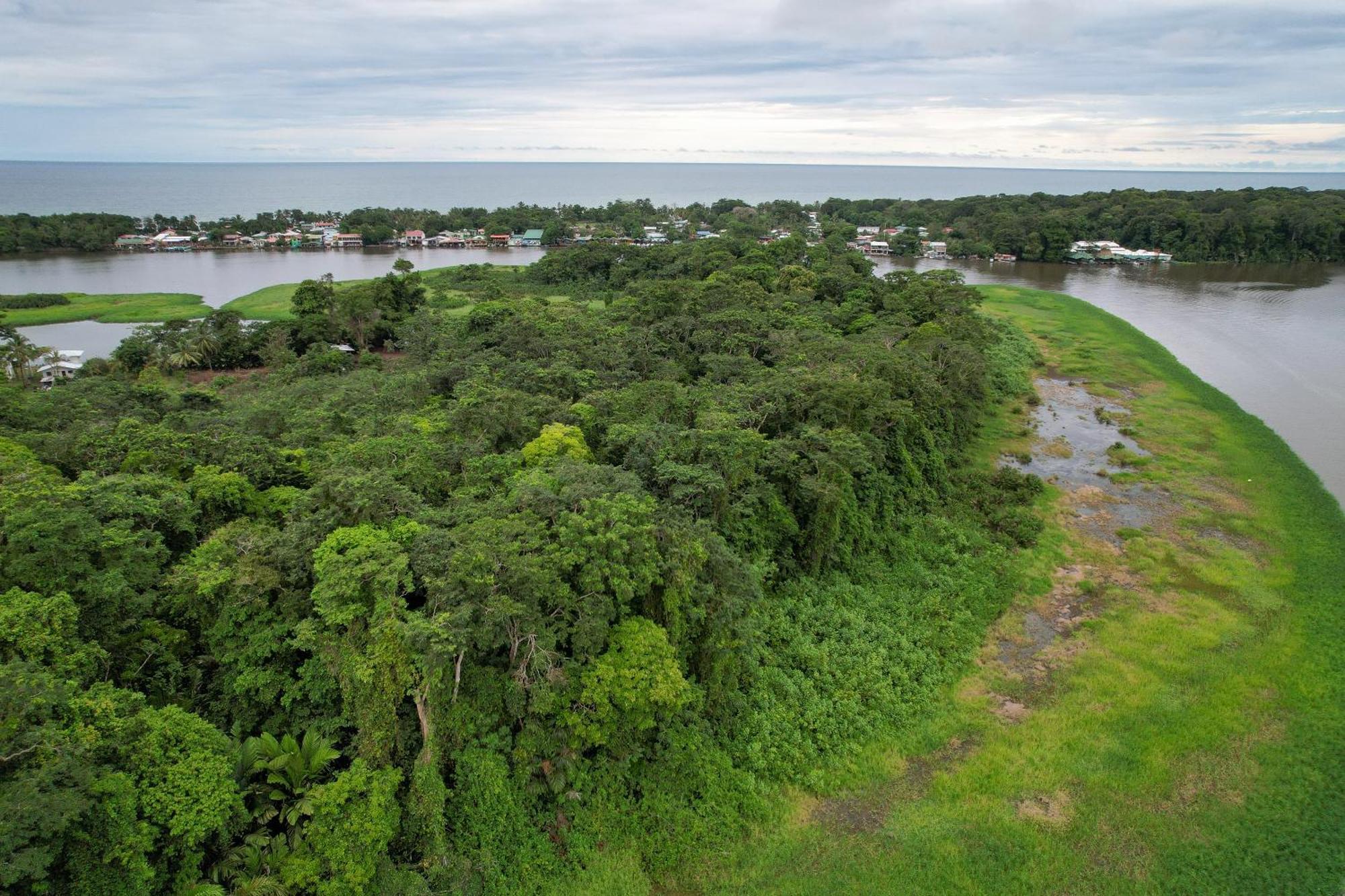 El Deseo Serendipity Tortuguero Zewnętrze zdjęcie