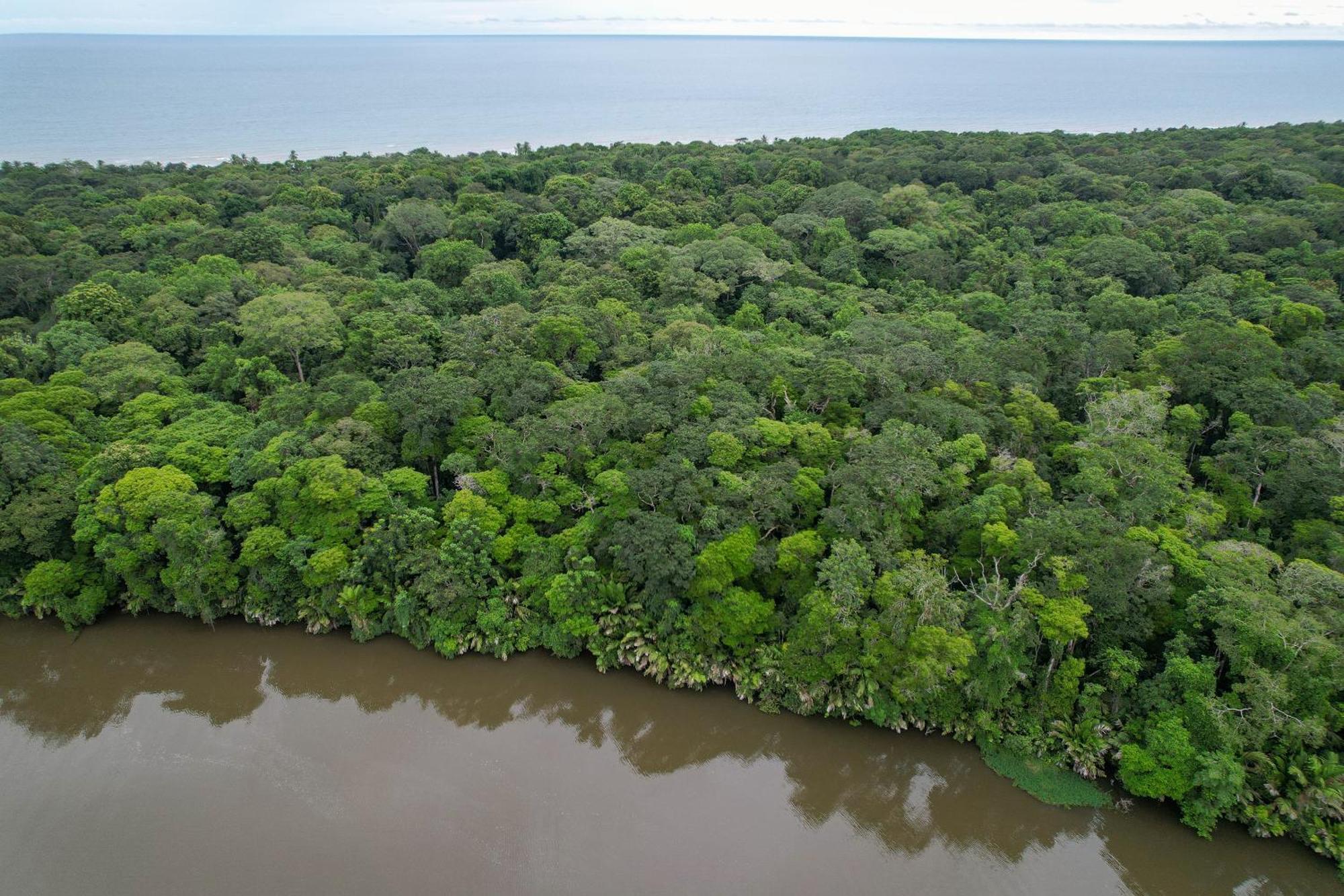 El Deseo Serendipity Tortuguero Zewnętrze zdjęcie