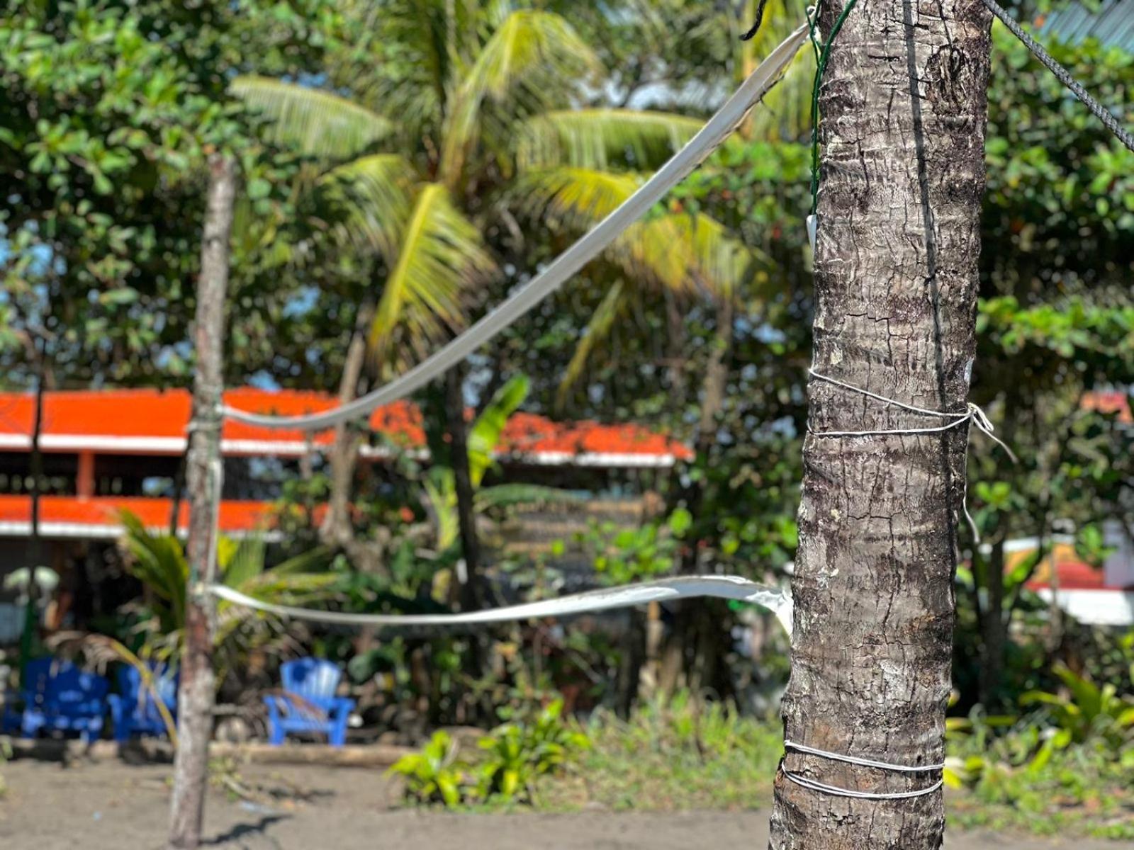 El Deseo Serendipity Tortuguero Zewnętrze zdjęcie