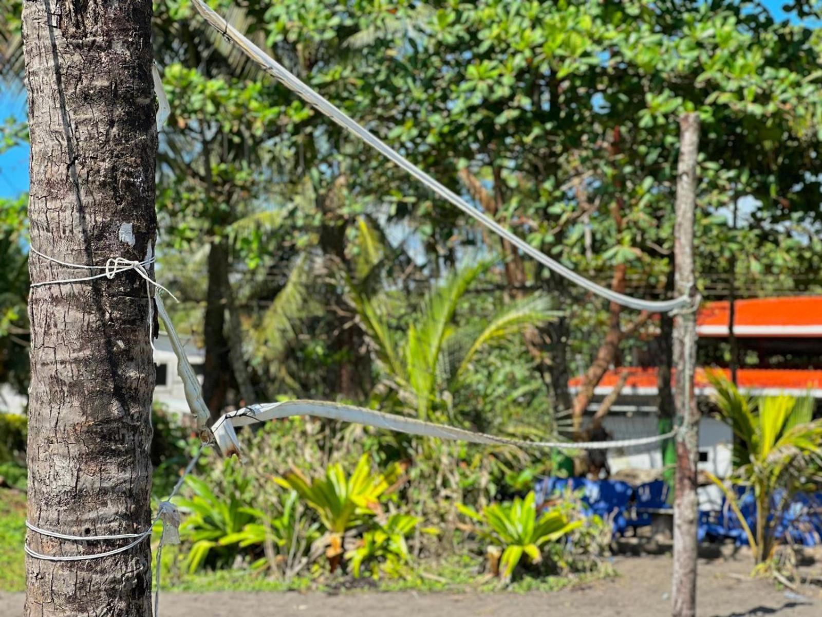 El Deseo Serendipity Tortuguero Zewnętrze zdjęcie