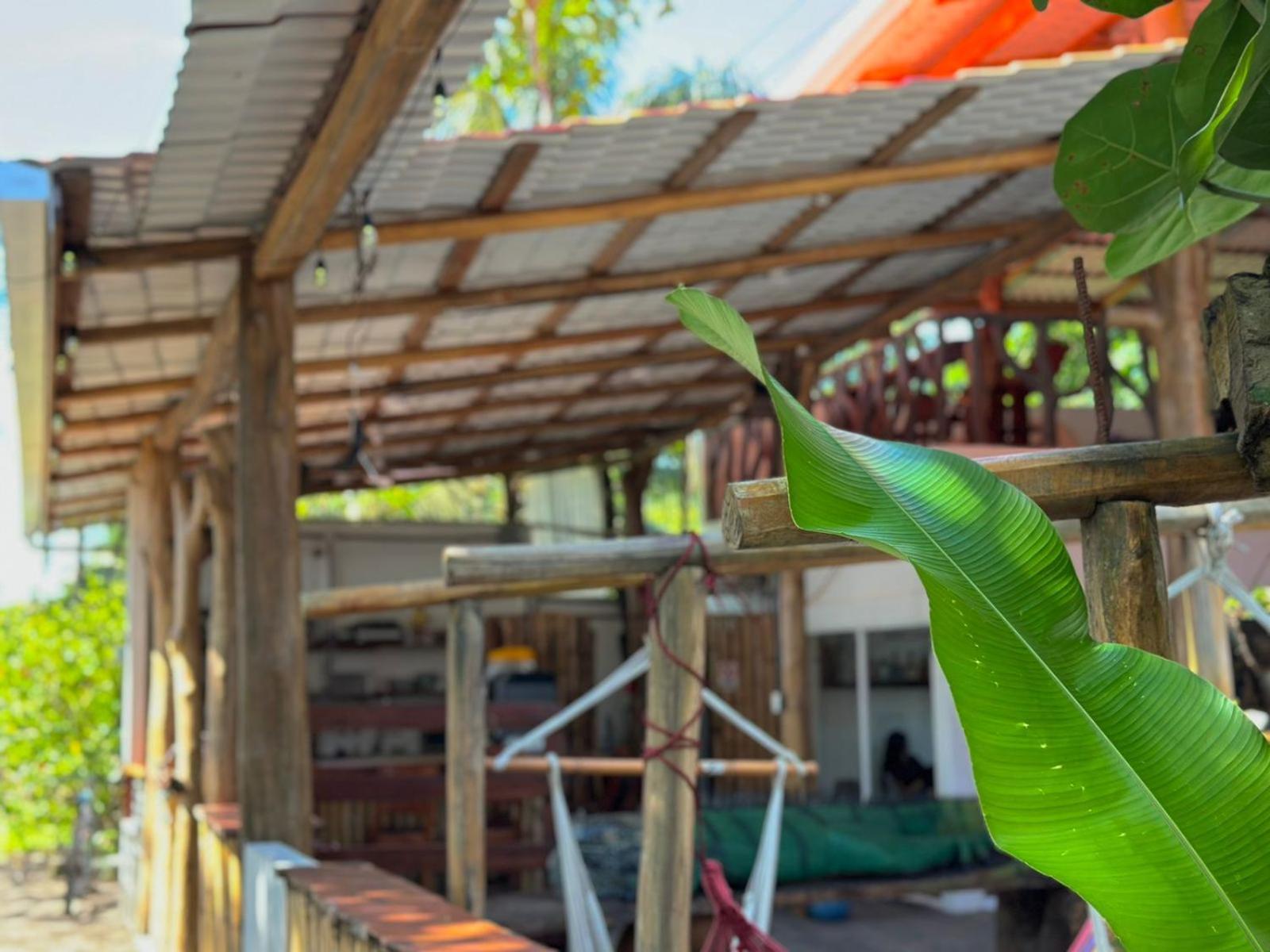El Deseo Serendipity Tortuguero Zewnętrze zdjęcie