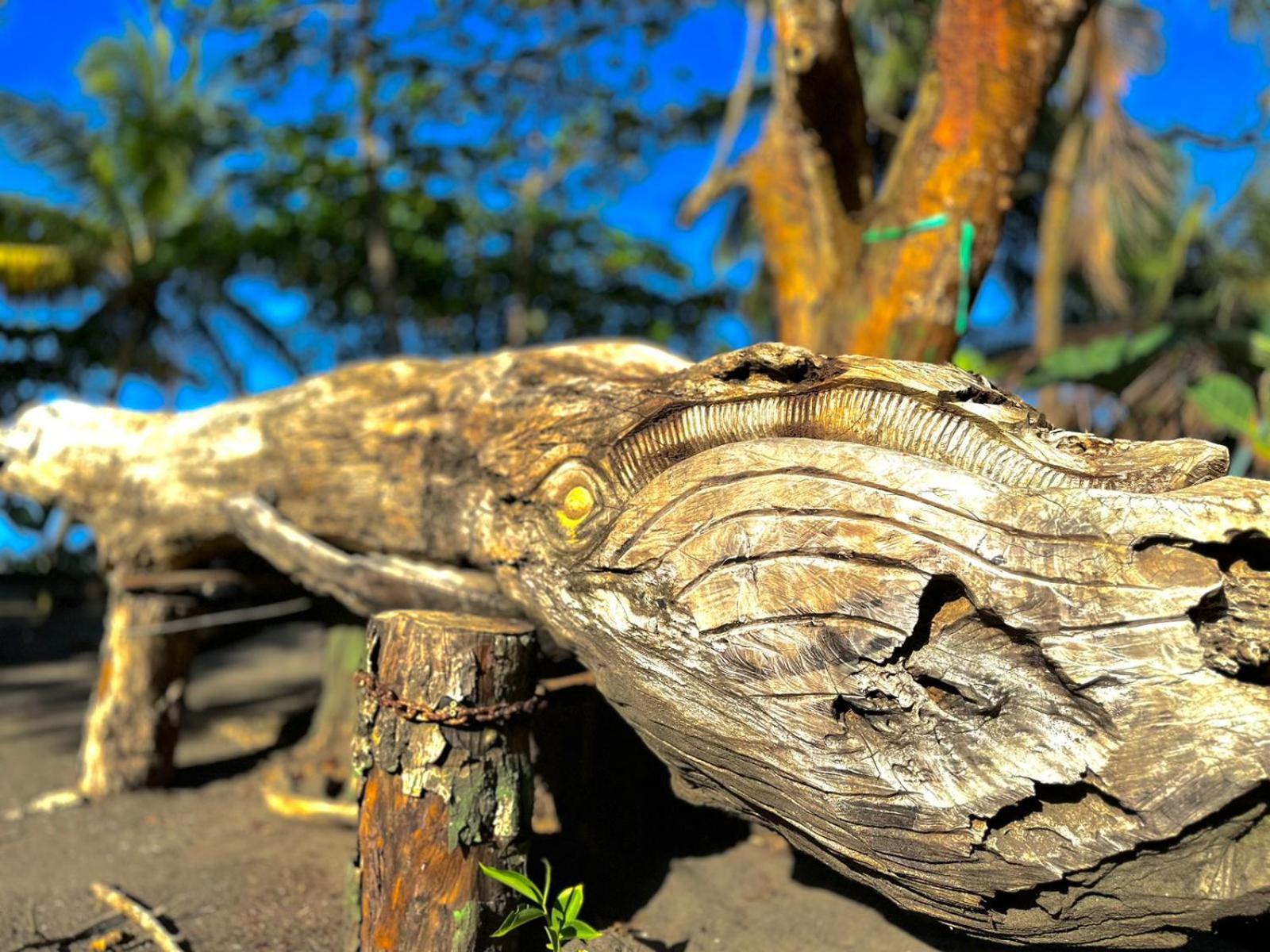 El Deseo Serendipity Tortuguero Zewnętrze zdjęcie